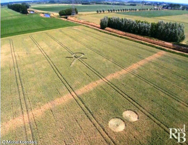 crop circle olanda802