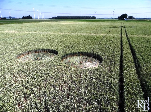 crop circle olanda803