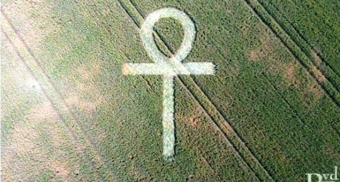 Crop Circle 2015: il simbolo di  “Ankh” impresso in un campo di Hoeven, Olanda