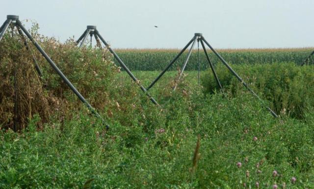 radiotelescope_ufo