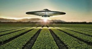 ufo crop circle