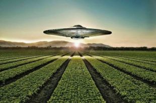 ufo crop circle