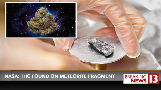 Risultati immagini per Extraterrestrial Lifeforms Discovered in Meteorite Debris