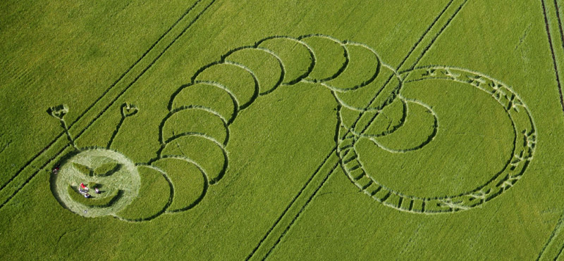 Risultati immagini per crop circle aliens