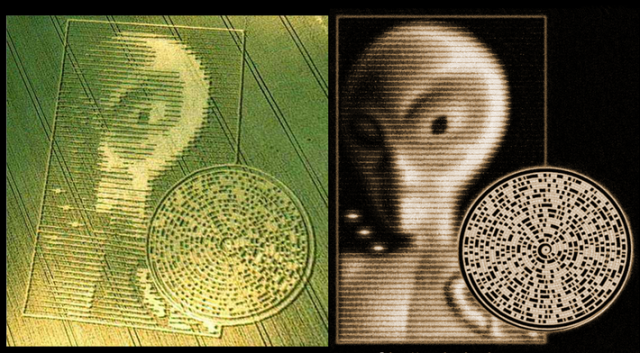 Risultati immagini per crop circle message